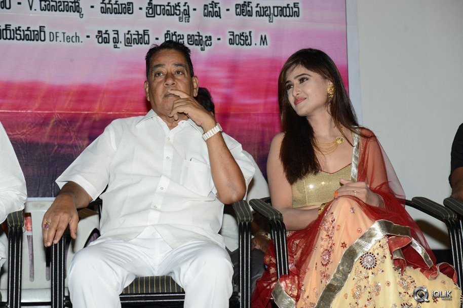 Seenugadi-Love-Story-Movie-Audio-Launch